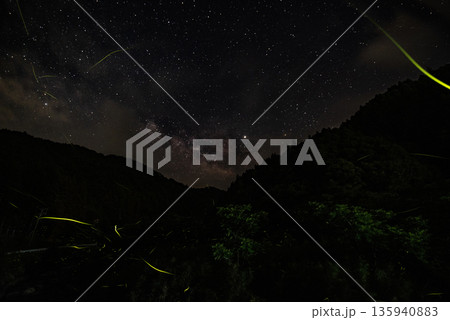 ホタルの舞う風景 135940883
