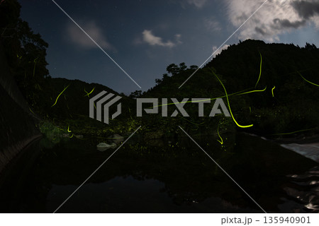 ホタルの舞う風景 135940901