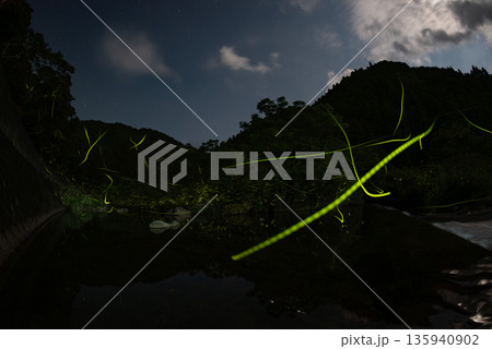 ホタルの舞う風景 ホタルの舞う風景 135940902