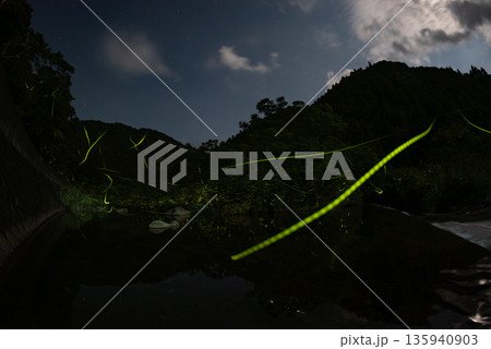 ホタルの舞う風景 135940903