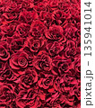 赤いバラが敷き詰められた華やかな背景 135941014