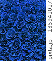 青い薔薇のフラワーテクスチャ背景 135941017