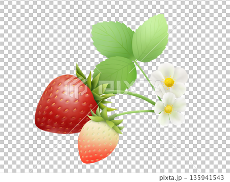 Strawberry material B-2 135941543