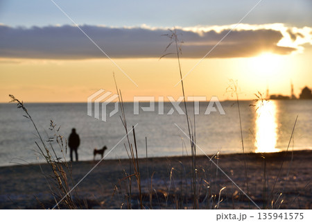 三重県　津市　伊勢湾の初日の出 135941575