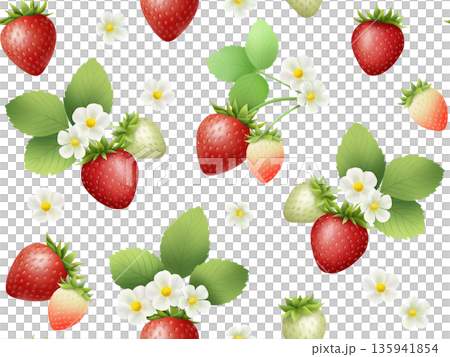 草莓無縫圖案B-1 135941854