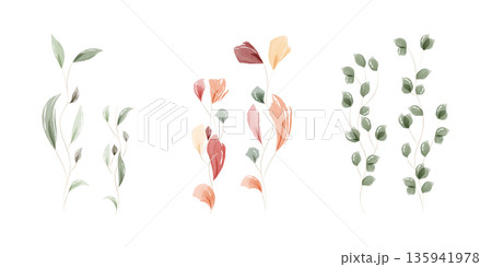 Three distinct styles of watercolor leaf illustrations are displayed. 135941978