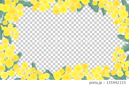 Hand-drawn mimosa frame_horizontal Hand-drawn mimosa frame_horizontal 135942133