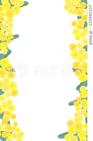 手描きのミモザの左右フレーム_縦 135942137