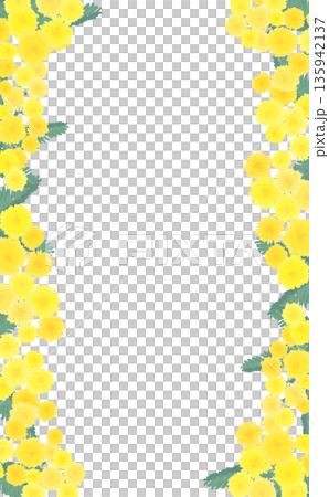 手描きのミモザの左右フレーム_縦 135942137