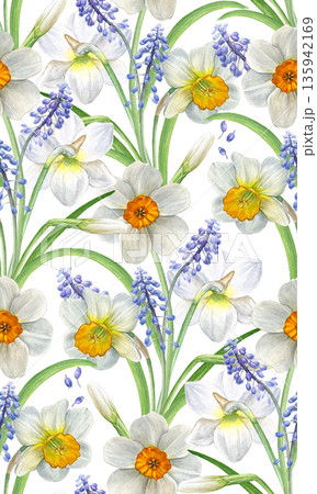 Watercolor seamless pattern of white narcissus and blue muscari flowers with green leaves. Hand-painted botanical style, perfect for wallpapers, textiles, wrapping paper, stationery, and spring decor Watercolor seamless pattern of white narcissus and blue muscari flowers with green leaves. Hand-painted botanical style, perfect for wallpapers, textiles, wrapping paper, stationery, and spring decor 135942169