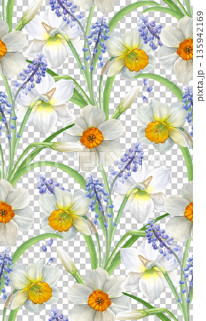 Watercolor seamless pattern of white narcissus and blue muscari flowers with green leaves. Hand-painted botanical style, perfect for wallpapers, textiles, wrapping paper, stationery, and spring decor Watercolor seamless pattern of white narcissus and blue muscari flowers with green leaves. Hand-painted botanical style, perfect for wallpapers, textiles, wrapping paper, stationery, and spring decor 135942169