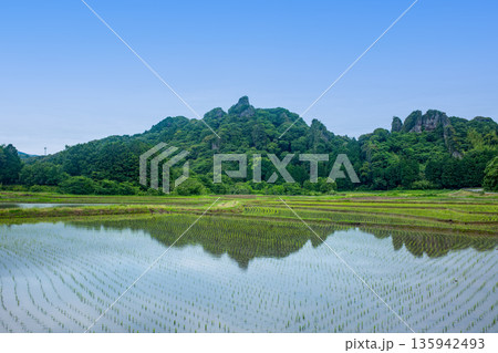 田染荘 田染荘 135942493