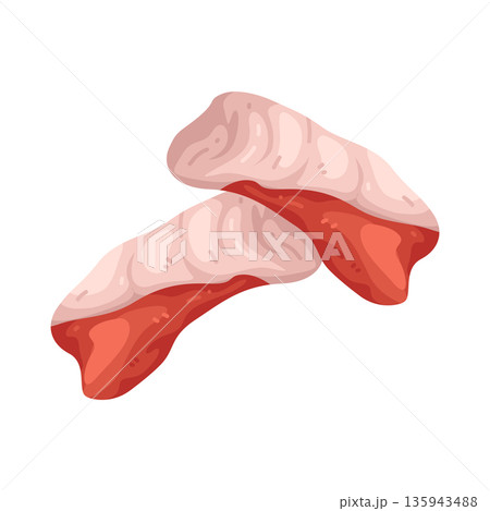 Illustration of Yellowtail sashimi Illustration of Yellowtail sashimi 135943488