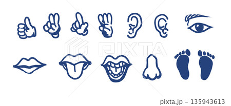 いろいろな種類のシンプルなボディパーツアイコンセット 135943613