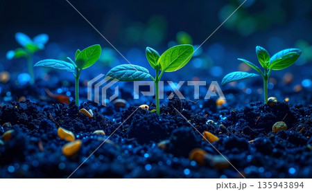 A vibrant aquarium with young fish swimming near a small green sprout growing from soil, symbolizing new life and nature in a white isolated environment 135943894