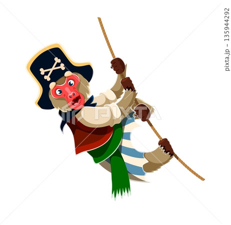 Cartoon vector monkey animal pirate character swinging on a rope with striped pants and red vest. Funny corsair wears a black pirate hat with skull, holding tightly with both hands while grinning Cartoon vector monkey animal pirate character swinging on a rope with striped pants and red vest. Funny corsair wears a black pirate hat with skull, holding tightly with both hands while grinning 135944292
