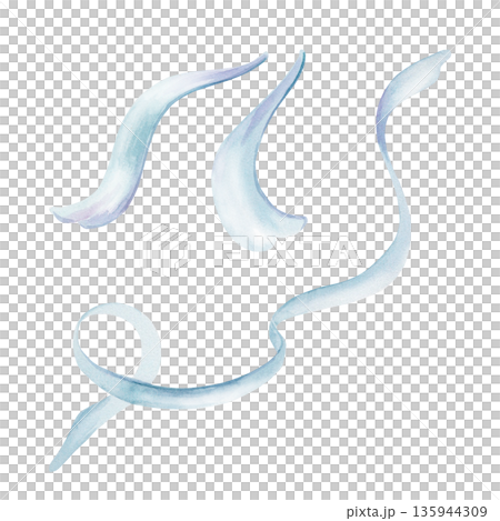 Set of wavy blue silk ribbons and bow fragments,embodying soft freshness of spring and Easter design.Delicate watercolor sheen for holiday branding,gift decor,feminine craft projects 135944309