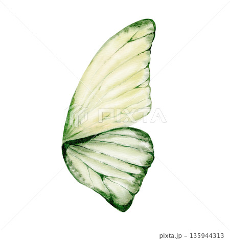 Butterfly wing in shades of green serves as an intricate element,symbolizing forest magic and Celtic ancestral spirits.Watercolor detail for fantasy themes,heritage branding,nature inspired art Butterfly wing in shades of green serves as an intricate element,symbolizing forest magic and Celtic ancestral spirits.Watercolor detail for fantasy themes,heritage branding,nature inspired art 135944313