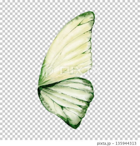 Butterfly wing in shades of green serves as an intricate element,symbolizing forest magic and Celtic ancestral spirits.Watercolor detail for fantasy themes,heritage branding,nature inspired art Butterfly wing in shades of green serves as an intricate element,symbolizing forest magic and Celtic ancestral spirits.Watercolor detail for fantasy themes,heritage branding,nature inspired art 135944313