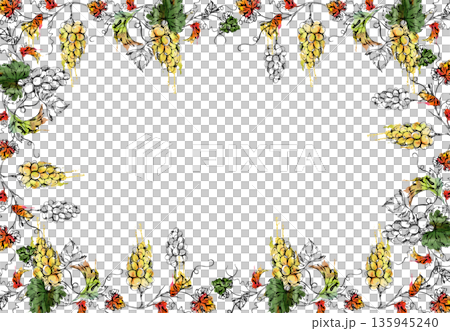 Border frame of muscat, sauvignon, riesling grape clusters hanging on flowing leafy grapevines. Hand drawn in ink and watercolor for packaging trims, wedding or harvest market cards, premium branding. Border frame of muscat, sauvignon, riesling grape clusters hanging on flowing leafy grapevines. Hand drawn in ink and watercolor for packaging trims, wedding or harvest market cards, premium branding. 135945240