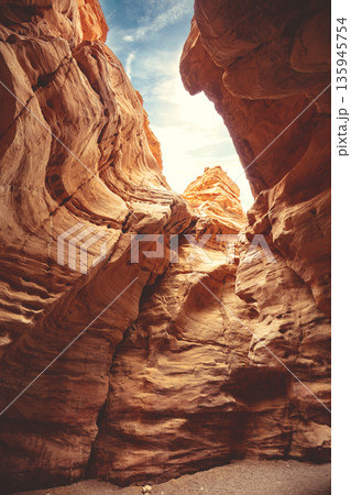 Dry riverbed, wilderness. Desert nature landscape. Sandstone texture. Red Canyon in the Negev Desert near Eilat in Israel 135945754