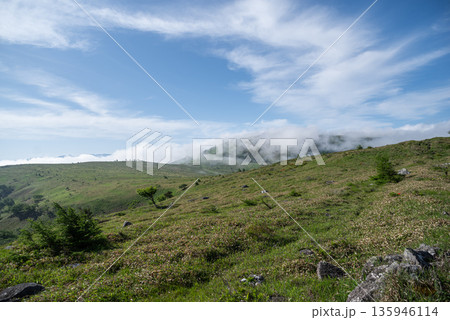 爽やかな高原　霧ヶ峰高原 135946114