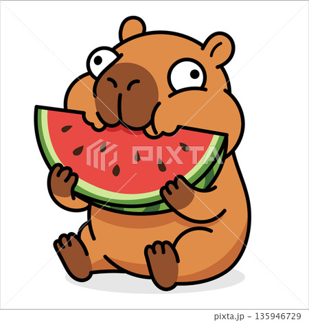 Funny cartoon capybara eating a juicy red watermelon slice, adorable vector illustration of a trendy animal character in flat style isolated on white background, summer joy concept. 135946729