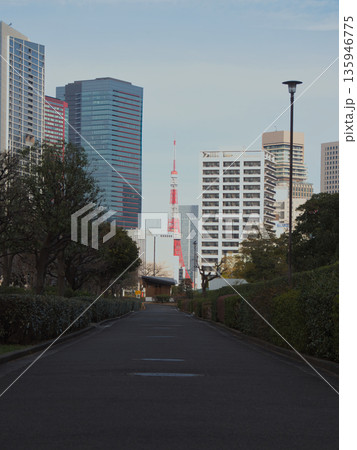 冬の朝 まっすぐな道 東京タワー 冬の朝 まっすぐな道 東京タワー 135946775