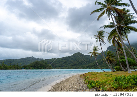 Coral garden beach with turquoise waters and palm trees on Huahine, French Polynesia Coral garden beach with turquoise waters and palm trees on Huahine, French Polynesia 135947018