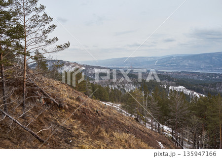 Mountain slope with dry grass and pine trees on a cloudy day, overlooking a distant village and river. Scenic view for travel and nature. 135947166