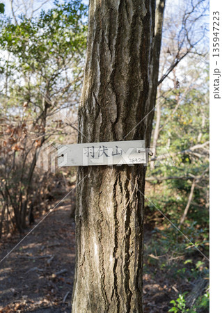 羽伏山の山頂（ほしだ園地） 135947223