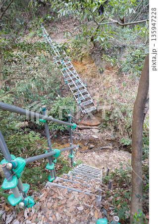 星田連山の登山道にあるハシゴ（ほしだ園地） 135947228