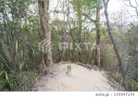 茨尾山の山頂（ほしだ園地） 135947234