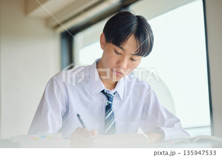 勉強に励む男子高校生 135947533