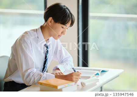 勉強に励む男子高校生 135947546