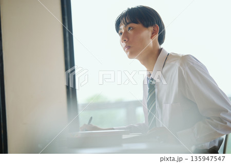 勉強に励む男子高校生 135947547
