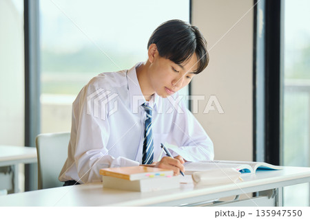勉強に励む男子高校生 135947550