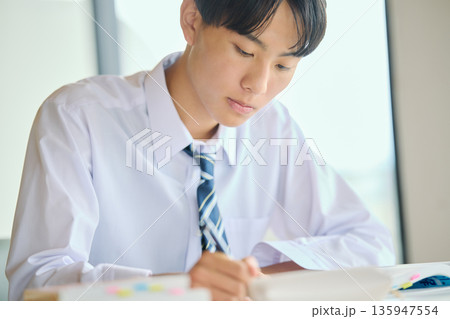 勉強に励む男子高校生 勉強に励む男子高校生 135947554