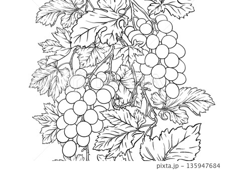 grape pattern outline grape pattern outline 135947684