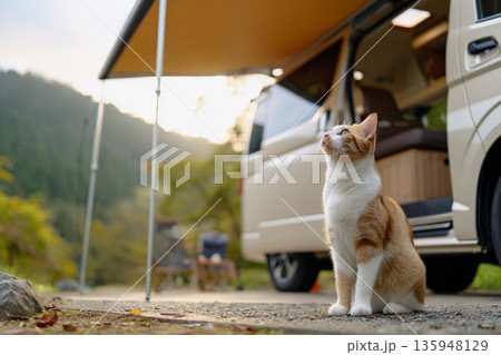 キャンピングカーと自然を楽しむ猫 135948129