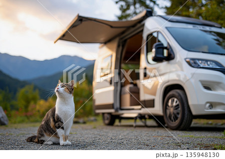キャンピングカーと自然を楽しむ猫 キャンピングカーと自然を楽しむ猫 135948130