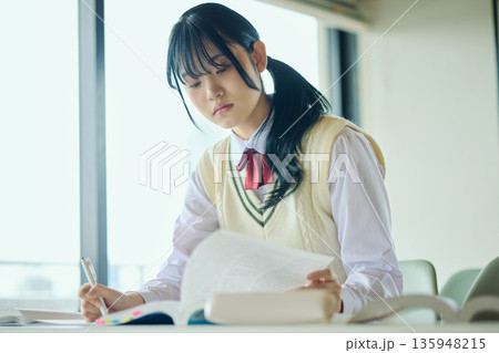 試験勉強に励む女子高校生 試験勉強に励む女子高校生 135948215