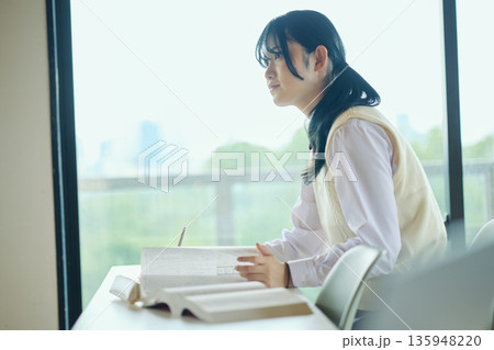 試験勉強に励む女子高校生 試験勉強に励む女子高校生 135948220