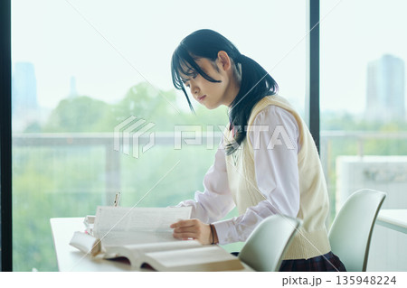 試験勉強に励む女子高校生 試験勉強に励む女子高校生 135948224