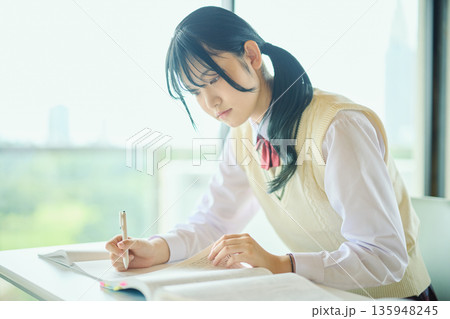 試験勉強に励む女子高校生 試験勉強に励む女子高校生 135948245
