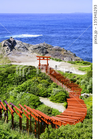 123基の赤鳥居が並ぶ絶景神社 元乃隅神社(山口県長門市) 123基の赤鳥居が並ぶ絶景神社 元乃隅神社(山口県長門市) 135948293