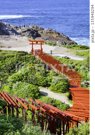 123基の赤鳥居が並ぶ絶景神社　元乃隅神社（山口県長門市） 135948294