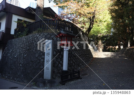 新宿 十二社熊野神社 新宿 十二社熊野神社 135948863