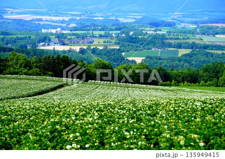 就実の丘から望む風景　(北海道旭川市) 135949415