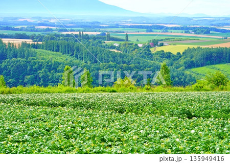 就実の丘から望む風景　(北海道旭川市) 135949416